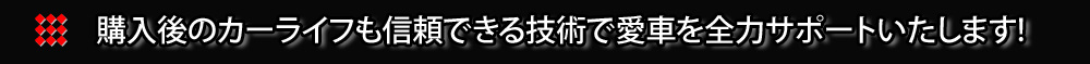 購入後のカーライフも信頼できる技術で愛車を全力サポートいたします!